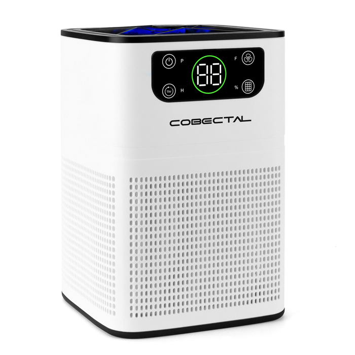 Air Purifier for Home, Air Cleaner with Aromatherapy Function for Office Living Room Bedroom